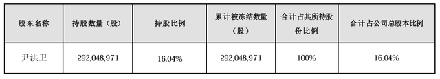 大股东持股遭八次轮候冻结，岭南股份流动性危机何解